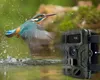 Kamera do obserwacji dzikiej przyrody / kamera myśliwska 4K Podgląd zdjęcia produktu 2