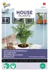 Buzzy House Plants Chamaedorea Bergpalme Samen - Ca. 15  Produktbild-Vorschau 1