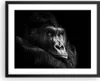 Gerahmtes Poster - Schwarzer Rahmen - Affe Gorilla Porträt Produktbild-Vorschau 1