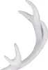 Hirschgeweih Hirschkopf Geweih 10-Ender Weiß 14x16x30cm Figur Skulptur Produktbild-Vorschau