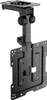 Supporto TV Aisens CT43S-187 19"-43" 20 kg Anteprima dell’immagine prodotto 1