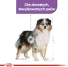 Royal Canin Medium Stérilisé 3kg Produktbild-Vorschau 8