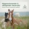 AniForte Vitality Cobs Natur für Pferde 14 kg - 100 % Produktbild-Vorschau 6