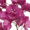 EVERLANDS Bougainvillea Pink & Weiß  100 cm - Kunstblumen Produktbild-Vorschau 2