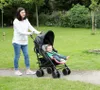 CuddleCo Comfi-Cush, Inserto per passeggino, 80x33cm, Anteprima dell’immagine prodotto 2
