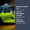 Dennerle Trocal Style Two, 6 Watt - LED Beleuchtung für Produktbild-Vorschau 3