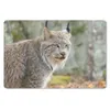 MuchoWow® Schreibtischunterlage Luchs - Wald - Grau 60x40 Produktbild-Vorschau 1