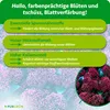 Purgrün Skimmie-Dünger 1 Liter, Produktbild-Vorschau 3