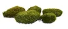 Natur Hügelmoos waldgrün 35 x 25 cm, reines Naturprodukt Produktbild-Vorschau 2