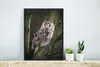 MuchoWow® MuchoWow® Gerahmtes Poster Eule - Nahaufnahme - Produktbild-Vorschau 4