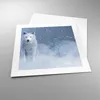 Poster - Poster ohne Rahmen - Weiß Wolf Schnee - 40x40 cm - Produktbild-Vorschau 3