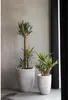 Capi Blumentopf Nature Rib Elegant Niedrig 46x58 cm Produktbild-Vorschau 9