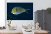 MuchoWow® Poster Fisch - Indonesien - Wasser 180x120 cm - Produktbild-Vorschau 3