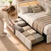 INONEFT Polsterbett Jugendbett 140x190 mit Stauraum Schubl, Produktbild-Vorschau 5
