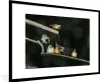 MuchoWow® MuchoWow® Gerahmtes Poster Vogel - Zweig - Wasser Produktbild-Vorschau 1