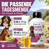 REAVET Olio di cardo mariano per cani e cavalli, 250 ml – Anteprima dell’immagine prodotto 4
