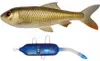 Pulz Bait Roach Kit 15cm - Crucian Carp Produktbild-Vorschau 1