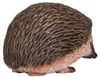 Animal Planet Stacheligel Produktbild-Vorschau 3