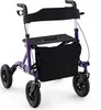 COSTWAY Rollator 2in1 con sedile pieghevole, ausilio per la Anteprima dell’immagine prodotto 1