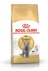 Royal Canin British Shorthair Adult, Dorosły, 4 kg, Zawiera Podgląd zdjęcia produktu 10