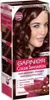 Garnier Color Sensation Krem koloryzujący do włosów 4.15 Náhled obrázku produktu 3