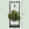 Zynesflora Tillandsien Luftpflanze Groß im Metall Halter - Produktbild-Vorschau 8