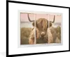 MuchoWow® Gerahmtes Poster Schottischer Highlander - Blick Produktbild-Vorschau 1