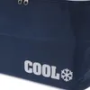 Cool Sac isotherme Sac isotherme à emporter à la plage pour Voir les images du produit 3