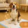 Saugmatten 60x40 cm 50 Stück - Mehrzweck-Hygieneunterlagen Produktbild-Vorschau 20