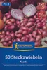 Kiepenkerl Wintersteckzwiebel Akado - rot Allium cepa 50 Produktbild-Vorschau 1