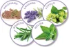 Beaphar No Stress Calming Diffuser Starter - aromatyzer Podgląd zdjęcia produktu 4