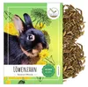 Semená púpavy pre králiky - semená divokých bylín ako Náhľad obrázku produktu 9