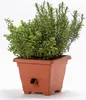 Plastia Pflanzenkübel Bergamot, Blumentopf mit Produktbild-Vorschau 2