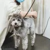 drehbarer Trimmtisch 60cm für Hunde, Katzen und Haustiere Produktbild-Vorschau 13