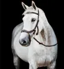 Uzdečka Horseware Micklem II Multi, velikost:Thoroughbred, Náhled obrázku produktu 2