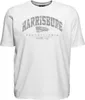Übergrößen T-Shirt Harrisburg Grau AHORN SPORTSWEAR Weiß Produktbild-Vorschau 1