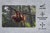 MuchoWow® Mauspad Mousepad Junger Orang-Utan hängt an einem Produktbild-Vorschau 2