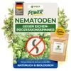 Nematoden gegen Eichenprozessionsspinner – 15 Mio. - Produktbild-Vorschau 1