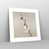 Poster - Poster ohne Rahmen - Baumwolle Zweig Boho - 30x30 Produktbild-Vorschau 7