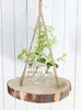 Deko-Glasflaschen, 24 Stück, Maße ca. 14x6cm, 250ml | Produktbild-Vorschau 8