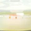 A close-up view of the rim of a transparent microwave cover, showing the interlocking mechanism and orange tabs. Anteprima dell’immagine prodotto
