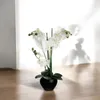Atmosphera 136510A, 1 Stück(e) Produktbild-Vorschau 2