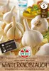 Artikelbild 1 von 'Knoblauch Messidrome (3 Stück)' aus der Kategorie Winterpflanzknoblauch Produktbild-Vorschau