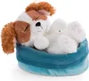 NICI Kuscheltier Hund im Körbchen, 12 cm, Cocker Spaniel, Produktbild-Vorschau 2