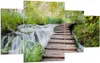 Bild auf Leinwand - Leinwandbild - Nationalpark Natur Produktbild-Vorschau 1