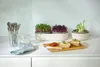 Sprossenschale & Pflanzschale ReGrow | Keimschalen von Produktbild-Vorschau 21