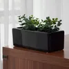 A black rectangular planter with green plants sits on a wooden surface in front of sheer white curtains. Náhled obrázku produktu