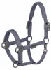 Eskadron Platinum Halfter " SPARKLE DOUBLE PIN ", Produktbild-Vorschau 4
