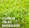 COMPO Rasenunkrautvernichter Banvel Quattro - 75 ml Produktbild-Vorschau 5