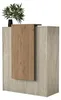 Skye Decor, moderne receptietable met LED-verlichting, Productafbeelding-voorbeeld 6